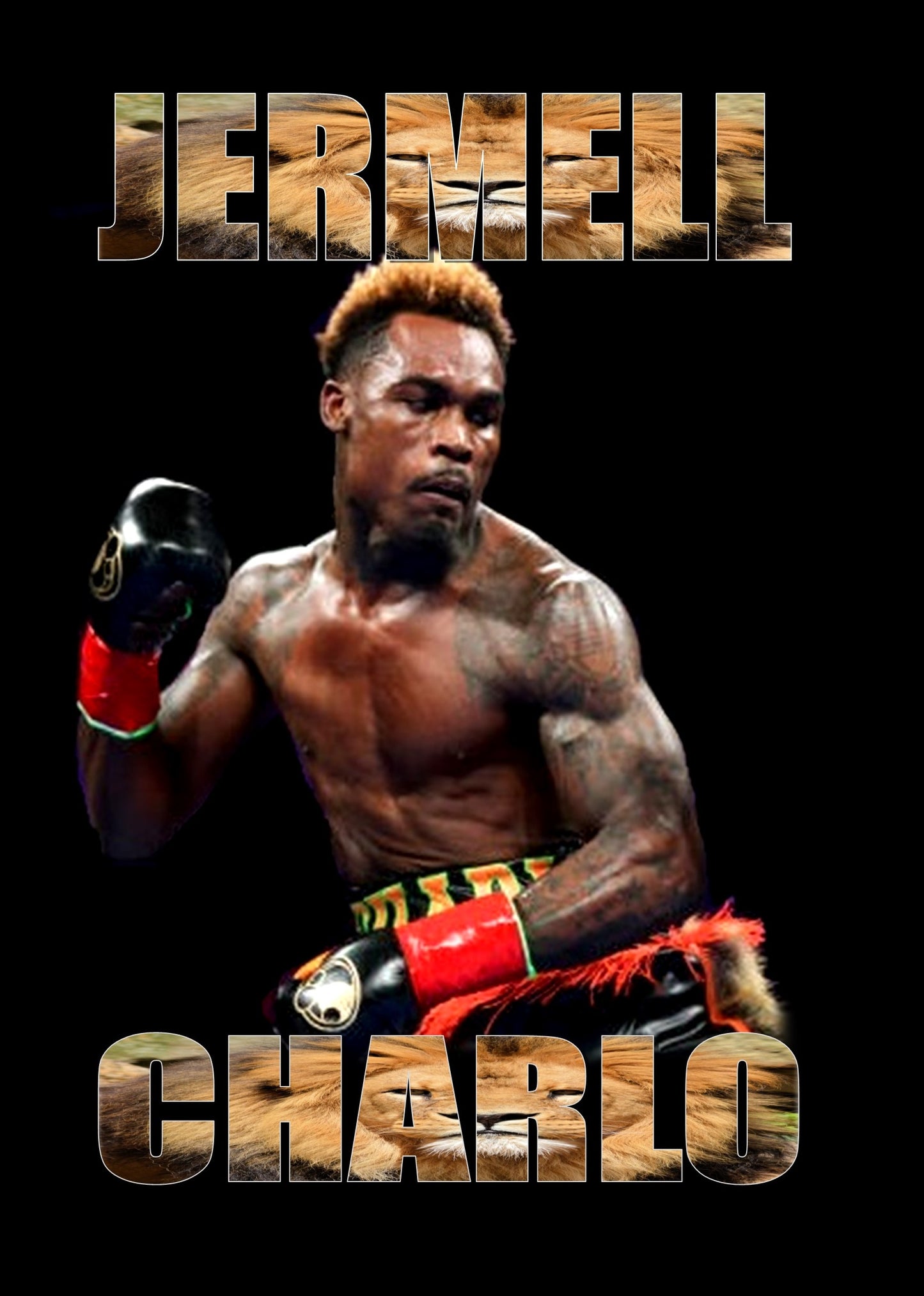 Jermell Charlo (new version)